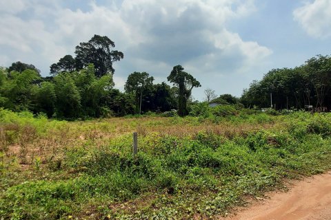 Land in Rayong, Thailand 3745 sq.m. № 149203 - photo 15