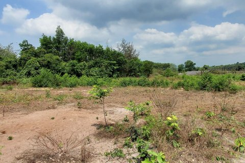 Land in Rayong, Thailand 3745 sq.m. № 149203 - photo 6