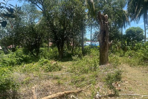 Studio à Ko Samui, Thaïlande № 172484 - photo 5