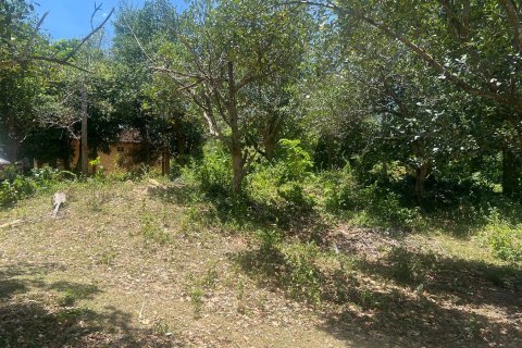 Студия в Самуй, Таиланд № 172484