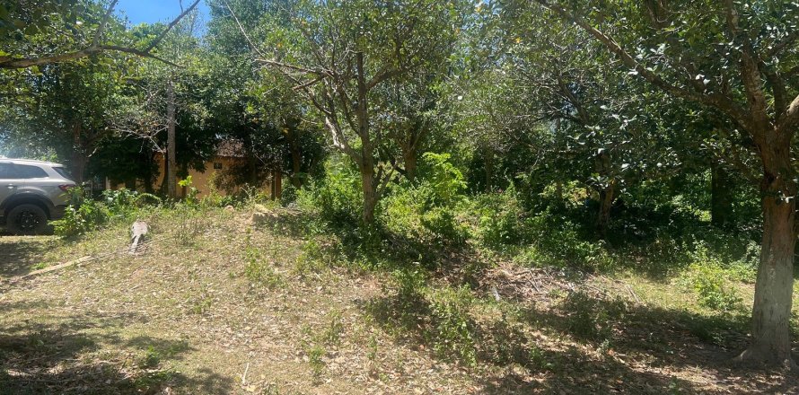 Studio à Ko Samui, Thaïlande № 172484