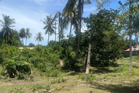 Studio à Ko Samui, Thaïlande № 172484 - photo 4