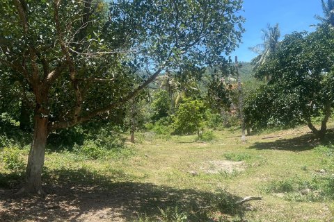 Studio à Ko Samui, Thaïlande № 172484 - photo 2