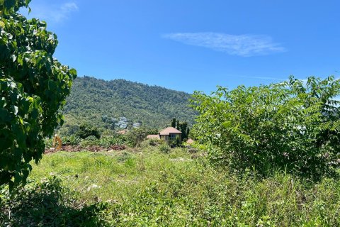 Studio à Ko Samui, Thaïlande № 172483 - photo 5