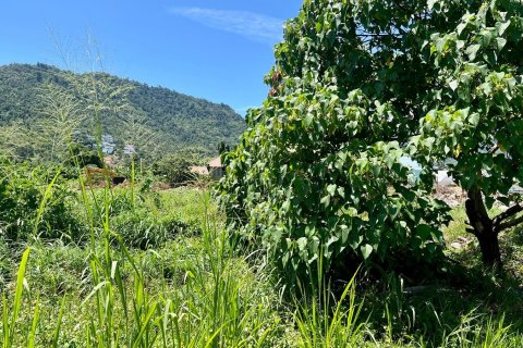 Studio à Ko Samui, Thaïlande № 172483 - photo 3