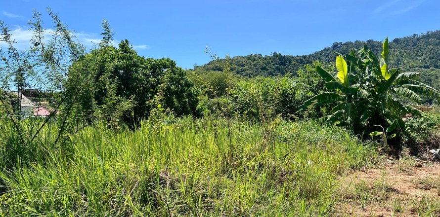 Studio à Ko Samui, Thaïlande № 172483