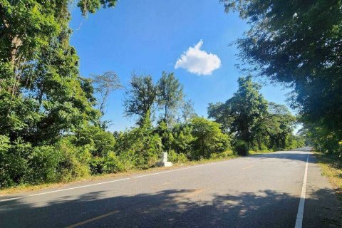 Land in Ban Tak, Thailand 76 sq.m. № 159241 - photo 5