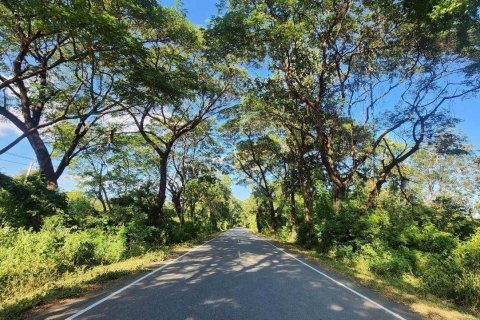 Land in Ban Tak, Thailand 76 sq.m. № 159241 - photo 4