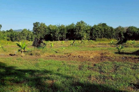 Land in Ban Tak, Thailand 76 sq.m. № 159241