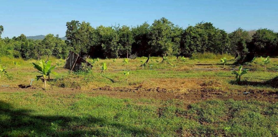 Land in Ban Tak, Thailand 76 sq.m. № 159241
