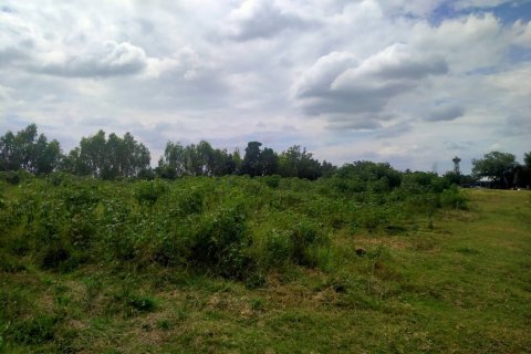 Land in Buriram, Thailand 16000 sq.m. № 159246 - photo 4