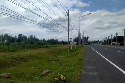 Land in Buriram, Thailand 16000 sq.m. № 159246 - photo 2
