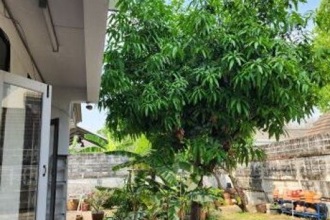 Земельный участок в Банг Кхене, Бангкок, Таиланд 836м2  № 147244 - фото 6