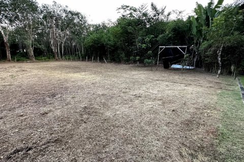 Земельный участок в Паклоке, Таиланд 1256м2  № 140383 - фото 5