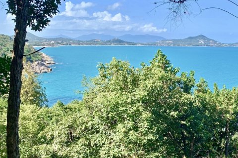 Земельный участок в Самуи, Таиланд 1293м2  № 161298 - фото 3