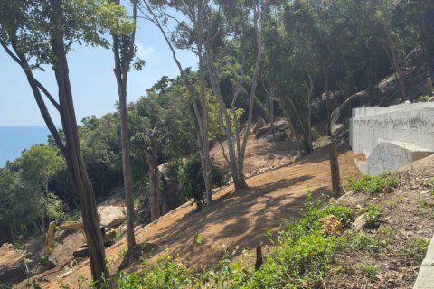 Земельный участок в Самуи, Таиланд 1293м2  № 161298 - фото 7