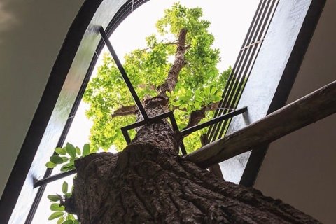 House in Bangkok, Thailand 7 bedrooms № 157552 - photo 3