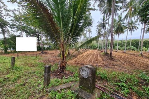 Land in Mai Khao, Thailand 73600 sq.m. № 148826 - photo 5