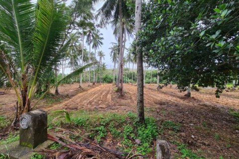 Land in Mai Khao, Thailand 73600 sq.m. № 148826 - photo 2