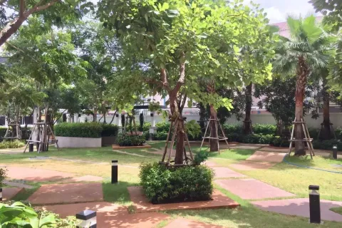 Studio dans le Condo à Chiang Mai, Thaïlande  № 163277 - photo 15