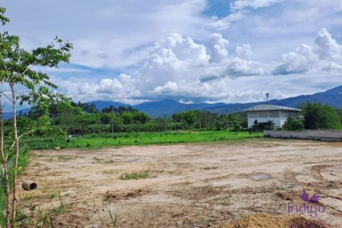 Земельный участок в Чиангмае, Таиланд № 162608 - фото 2