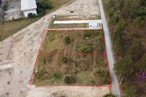 Земельный участок в Чиангмае, Таиланд № 162608 - фото 5