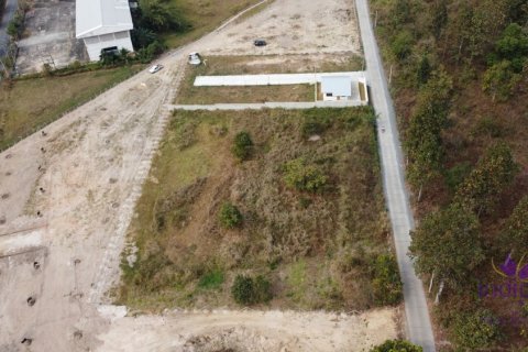 Земельный участок в Чиангмае, Таиланд № 162608 - фото 12