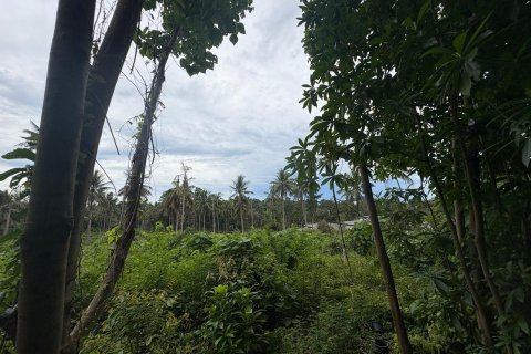 Terrain à Ko Samui, Thaïlande 17324 m2 № 140294 - photo 5