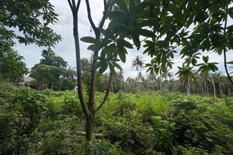 Terrain à Ko Samui, Thaïlande 17324 m2 № 140294 - photo 7