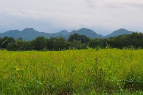 Земельный участок в Пак Чонге, Таиланд 64000м2  № 151363 - фото 8