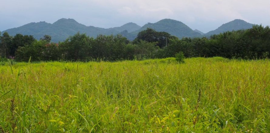 Земельный участок в Пак Чонге, Таиланд 64000м2  № 151363