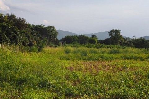 Земельный участок в Пак Чонге, Таиланд 64000м2  № 151363 - фото 4