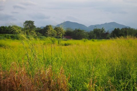 Земельный участок в Пак Чонге, Таиланд 64000м2  № 151363 - фото 6