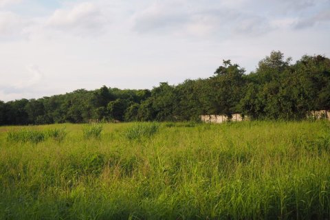 Земельный участок в Пак Чонге, Таиланд 64000м2  № 151363 - фото 2