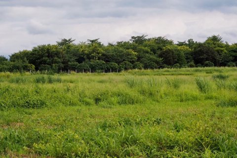 Земельный участок в Пак Чонге, Таиланд 64000м2  № 151363 - фото 3