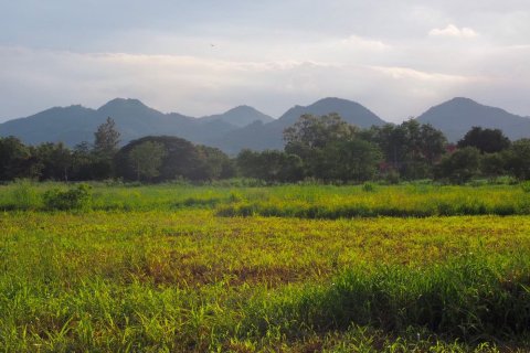 Земельный участок в Пак Чонге, Таиланд 64000м2  № 151363 - фото 9