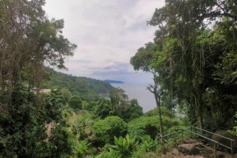Terrain à Kamala, Thaïlande 3288 m2 № 191249