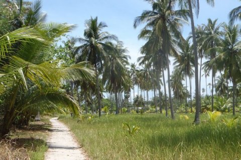 ที่ดินในพังงา, ประเทศไทย 441100 ตร.ม. № 191253 - รูปถ่าย 16