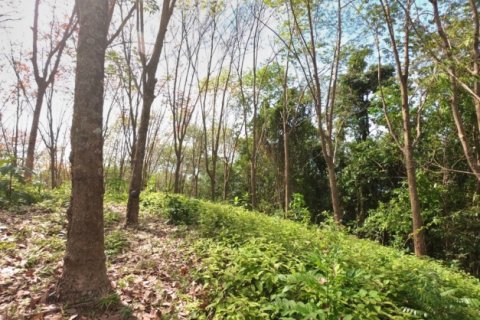 ที่ดินในป่าคลอก, ประเทศไทย 58582 ตร.ม. № 191248 - รูปถ่าย 20