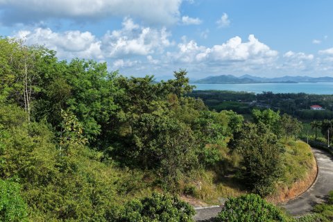 Земельный участок в Паклоке, Таиланд 1742м2  № 159231 - фото 13