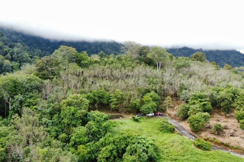 Земельный участок в Паклоке, Таиланд 1742м2 № 159231 - фото 4