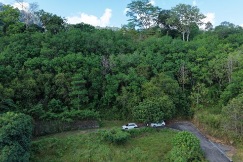 Земельный участок в Паклоке, Таиланд 1742м2  № 159231 - фото 14