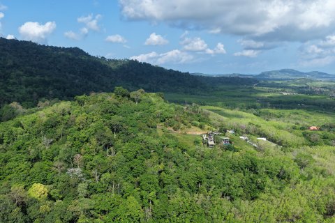 Земельный участок в Паклоке, Таиланд 1742м2  № 159231 - фото 10