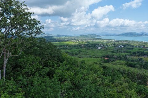 Земельный участок в Паклоке, Таиланд 1742м2  № 159231 - фото 12