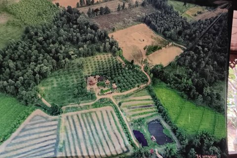 Земельный участок в Сикхио, Таиланд 60800м2 № 159229 - фото 3
