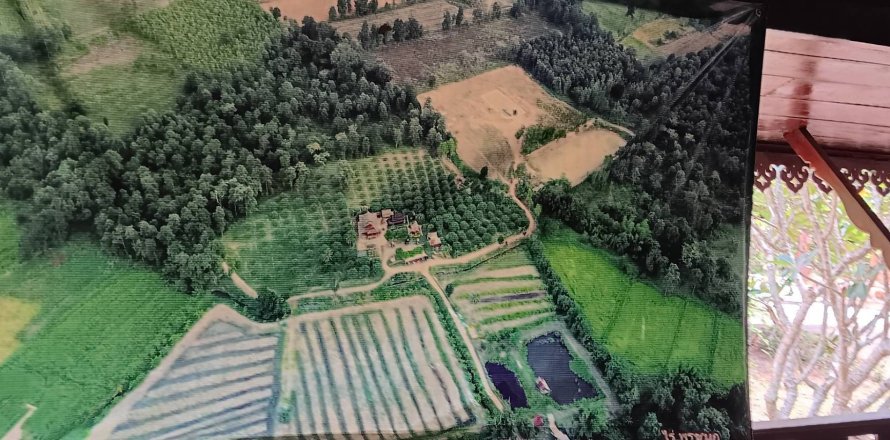 Земельный участок в Сикхио, Таиланд 60800м2 № 159229