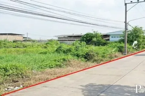 Terrain à Samut Sakhon, Thaïlande 105600 m2 № 160453 - photo 3