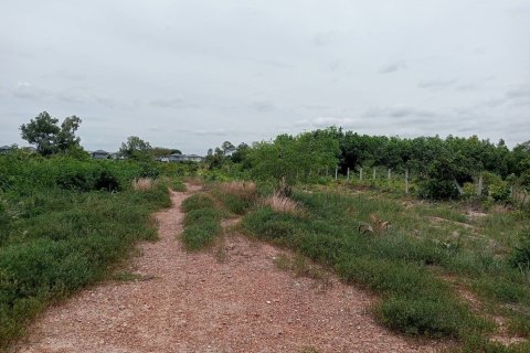 Земельный участок в Районге, Таиланд 60800м2 № 164366 - фото 9