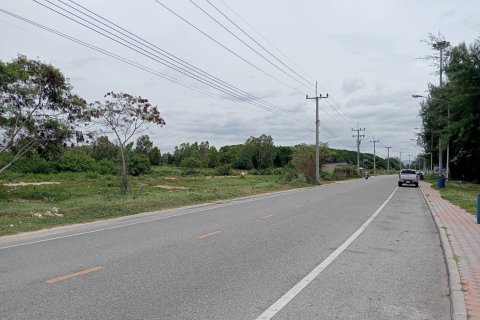 Земельный участок в Районге, Таиланд 60800м2 № 164366 - фото 4