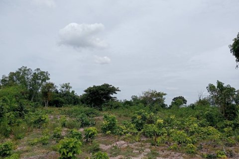 Земельный участок в Районге, Таиланд 60800м2 № 164366 - фото 7